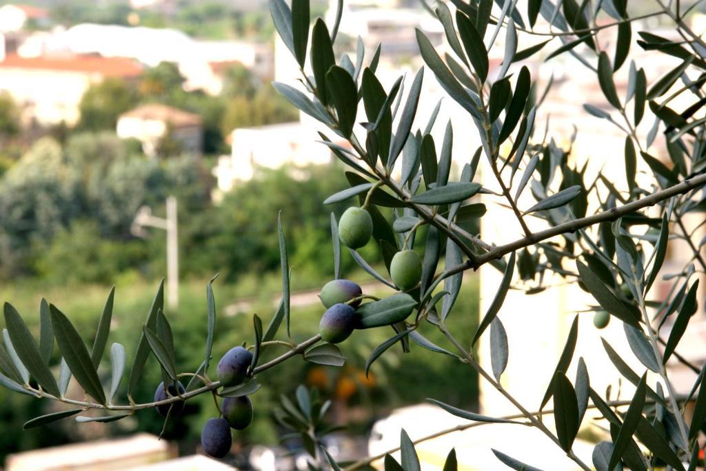 M Suites Sorrento Exteriér fotografie